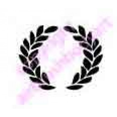 0294 leaf belly button reusable stencil